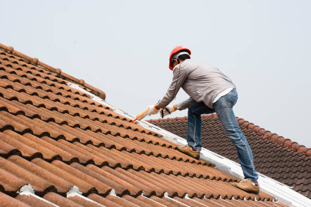 Best Rubber Roofing (EPDM, TPO)  in Temple Terrace, FL