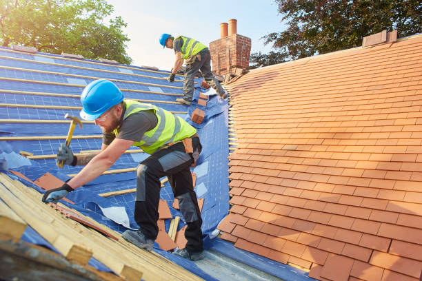 Trusted Temple Terrace, FL Roofing services Experts